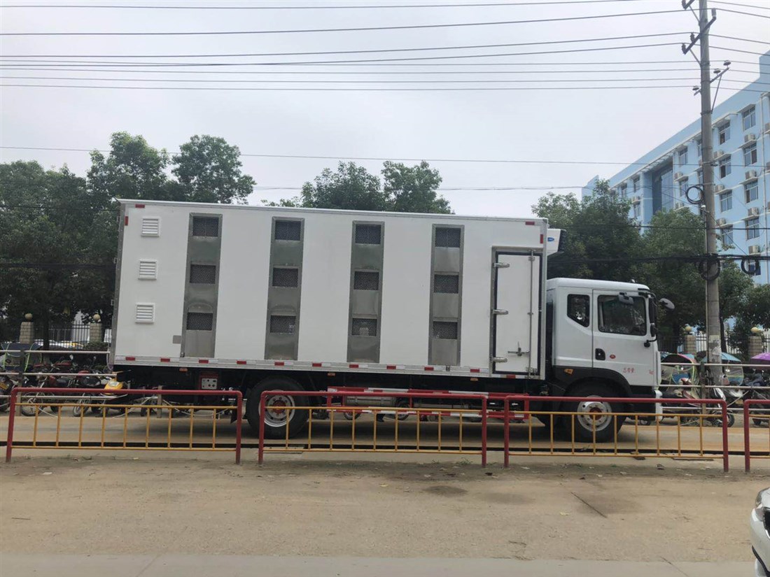 東風(fēng)D9雛禽運(yùn)輸車(chē)