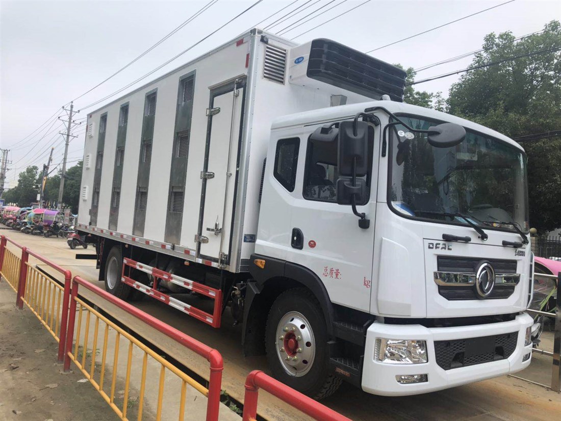 東風(fēng)D9雛禽運(yùn)輸車(chē)